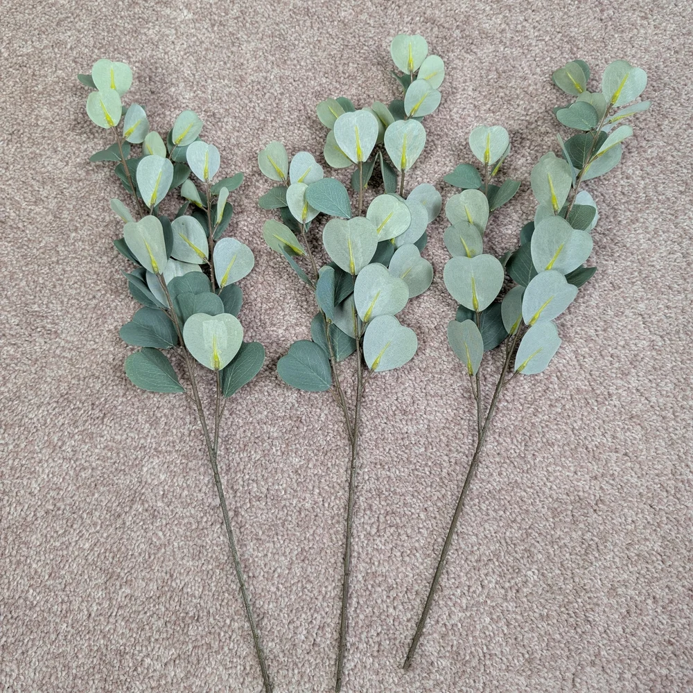 Elegant Green Eucalyptus Stems